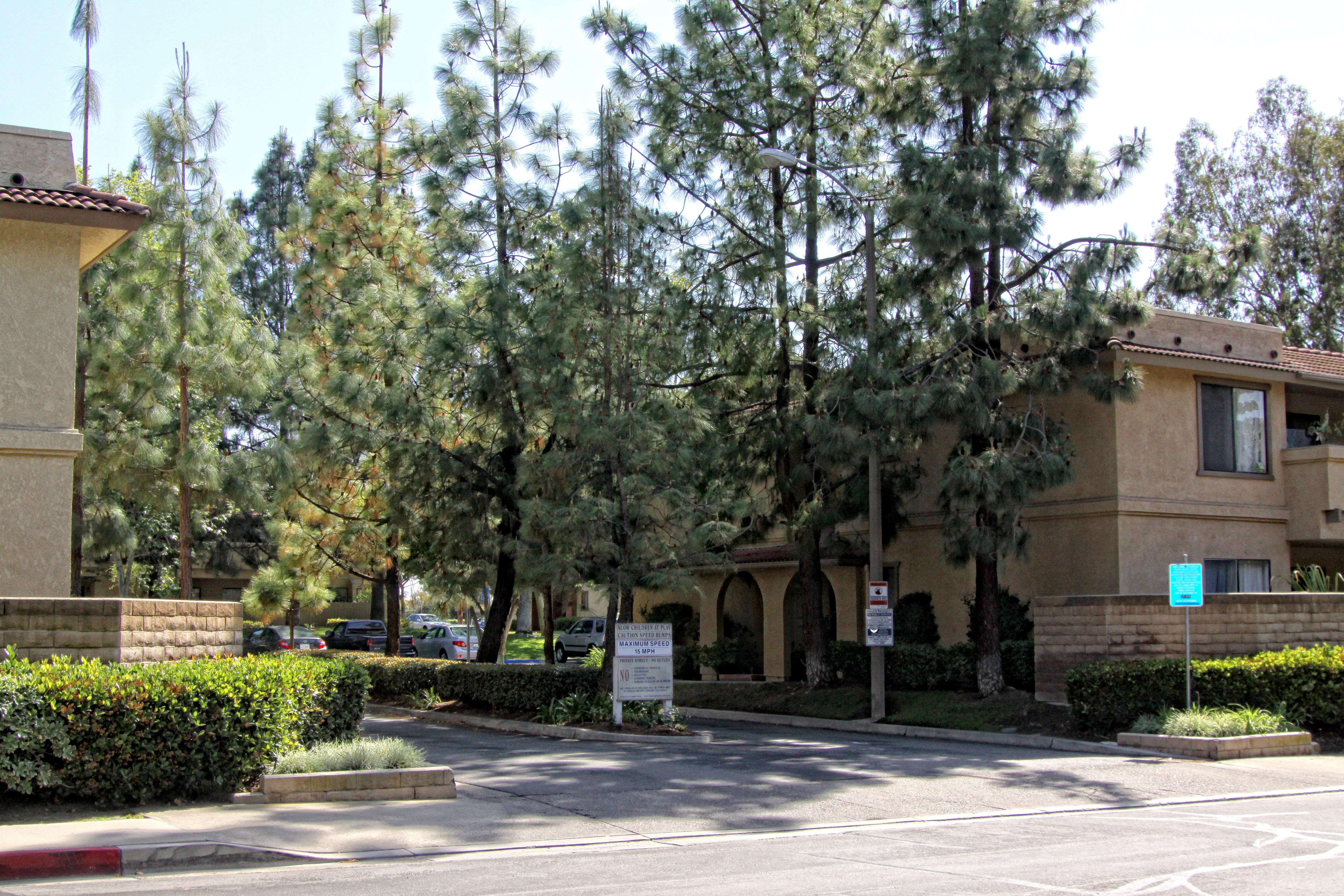 Work Image